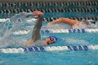 Swimming vs Bentley  Wheaton College Swimming vs Bentley. - Photo By: KEITH NORDSTROM : Wheaton, Swimming, Bentley